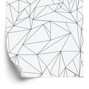Behang Zwart-Wit Geometrisch Patroon