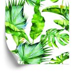 Behang Tropische Jungle Bladeren