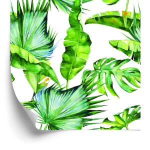 Behang Tropische Jungle Bladeren
