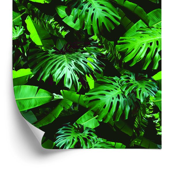 Behang Moderne Groene Bladeren