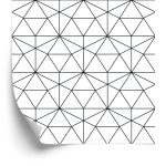Behang Zwart-Wit Geometrisch Patroon