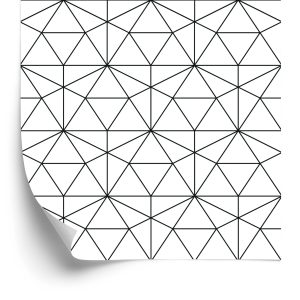 Behang Zwart-Wit Geometrisch Patroon