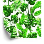 Behang Monstera En Palmbladeren