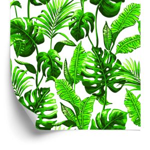 Behang Monstera En Palmbladeren