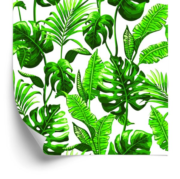 Behang Monstera En Palmbladeren