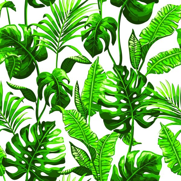 Behang Monstera En Palmbladeren - Afbeelding 2