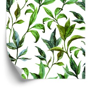 Behang Aquarel Bladeren