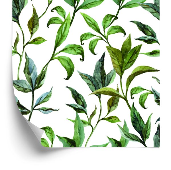 Behang Aquarel Bladeren