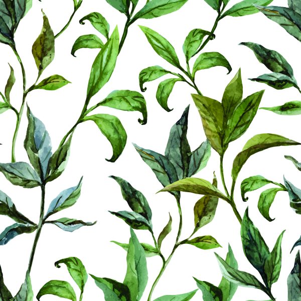 Behang Aquarel Bladeren - Afbeelding 2