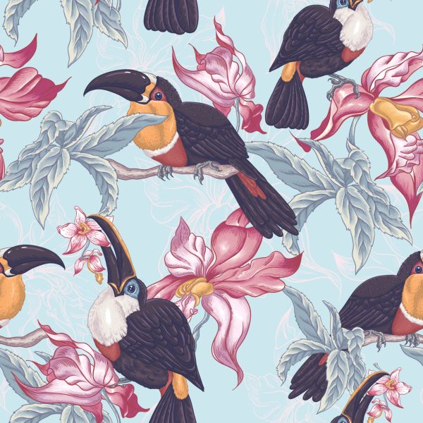 Behang Toekans I. - Afbeelding 2