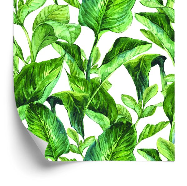 Behang Aquarel Tropische Bladeren