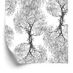 Behang Originele Zwart-Witte Bomen