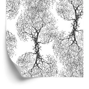 Behang Originele Zwart-Witte Bomen