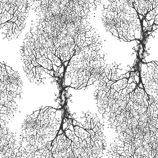 Behang Originele Zwart-Witte Bomen - Afbeelding 2