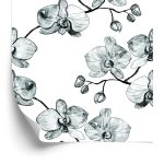 Behang Voor De Salon Orchideeën Bloemen Orchidee Natuur
