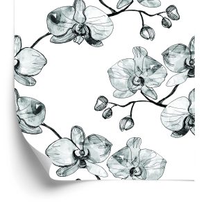 Behang Voor De Salon Orchideeën Bloemen Orchidee Natuur