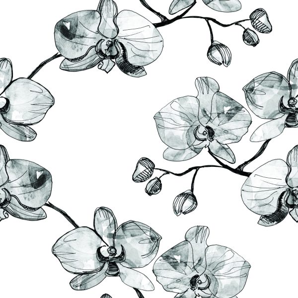 Behang Voor De Salon Orchideeën Bloemen Orchidee Natuur - Afbeelding 2