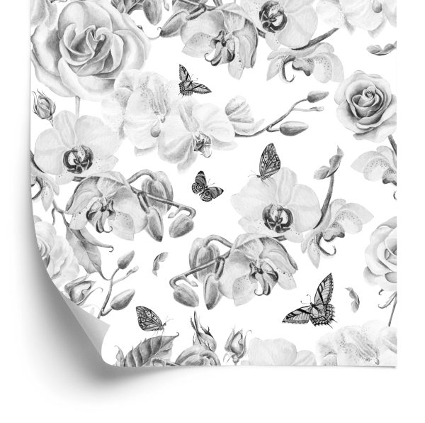 Behang Bloemen, Natuur, Planten, Orchideeën