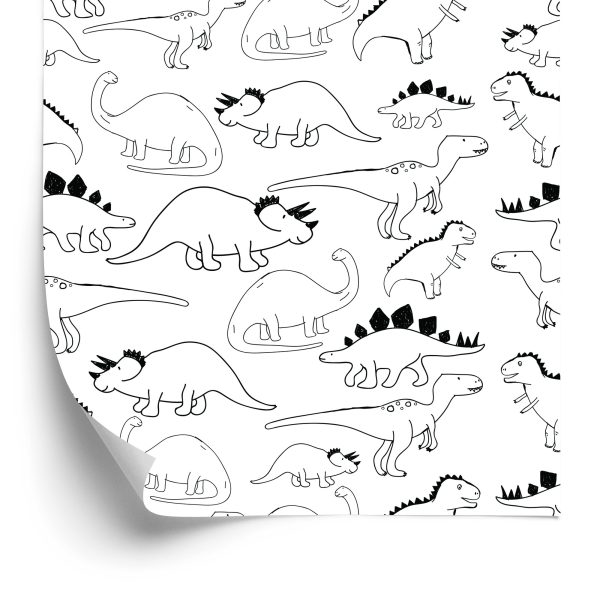 Behang Met Dinosaurussen Voor De Kinderkamer