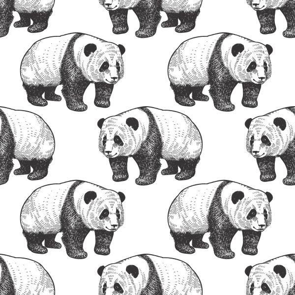 Behang Lopende Panda's - Afbeelding 2