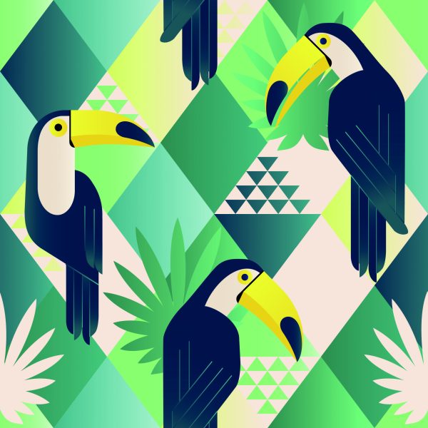 Behang Toekans - Afbeelding 2