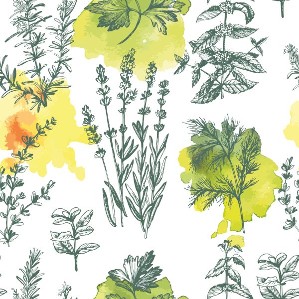 Behang Groene Lavendel Planten - Afbeelding 2
