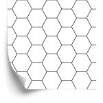 Behang Geometrisch Patroon - Zeshoek