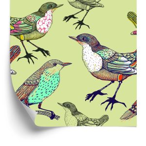 Behang Kleurrijke Vogels
