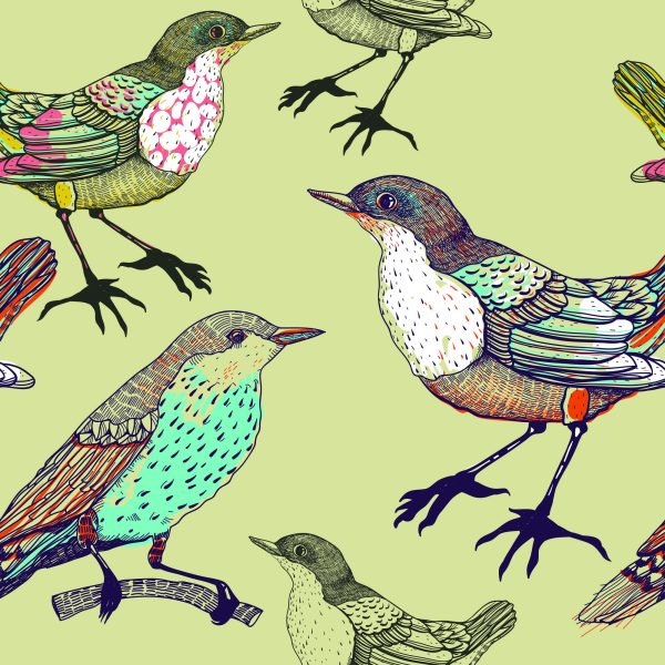 Behang Kleurrijke Vogels - Afbeelding 2