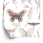 Behang Voor Keukenvlinders, Bloemen, Planten, Natuur