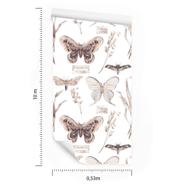 Behang Voor Keukenvlinders, Bloemen, Planten, Natuur - Afbeelding 8
