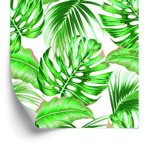 Behang Kleurrijke Exotische Bladeren