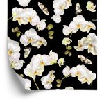 Behang Orchidee Natuur Natuur Bloemen Voor Slaapkamer