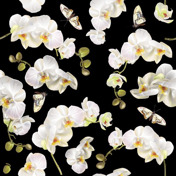 Behang Orchidee Natuur Natuur Bloemen Voor Slaapkamer - Afbeelding 2
