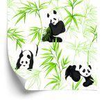Behang Panda's En Planten