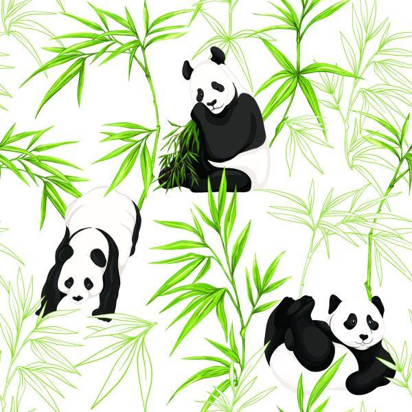 Behang Panda's En Planten - Afbeelding 2