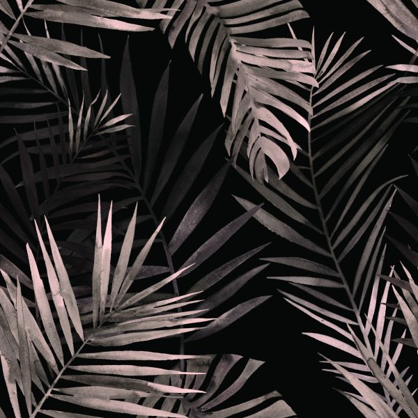 Behang Palm Bladeren - Afbeelding 2