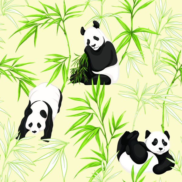 Behang Panda's En Planten - Afbeelding 2