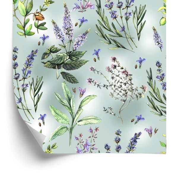 Behang De Aard Van Lavendelbloemen