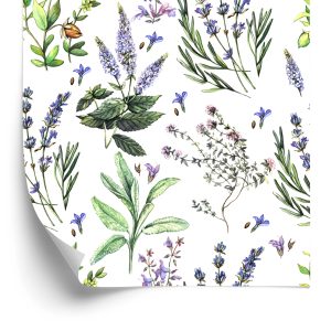 Behang Kleurrijke Lavendelbloemen