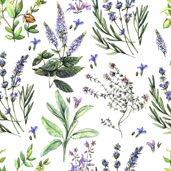 Behang Kleurrijke Lavendelbloemen - Afbeelding 2