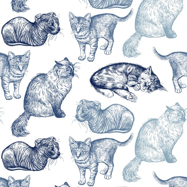 Behang Rasechte Katten - Afbeelding 2