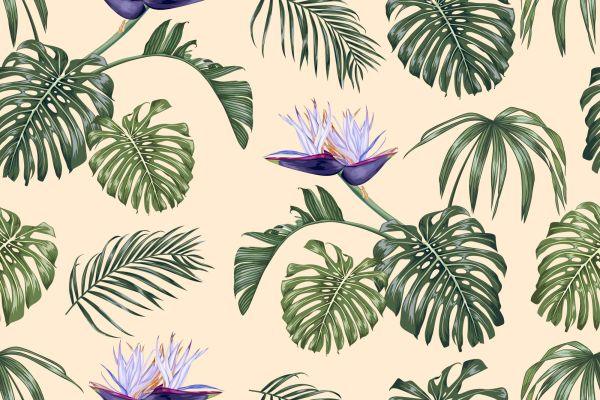 Behang Monstera Vertrekt - Afbeelding 2