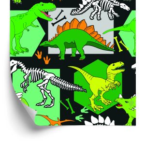 Behang Muur Voor Jongens Dieren Dinosaurussen