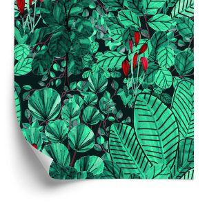 Behang Monstera Vertrekt
