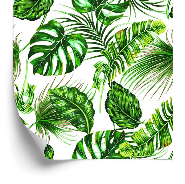 Behang Tropische Jungle Bladeren