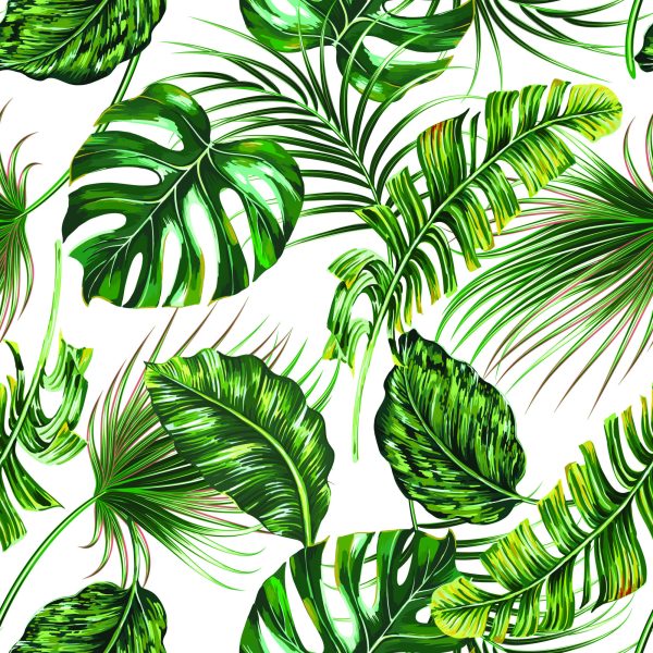 Behang Tropische Jungle Bladeren - Afbeelding 2