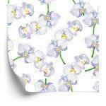 Behang Orchidee. Orchidee. Natuur Bloemen