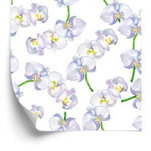 Behang Orchidee. Orchidee. Natuur Bloemen