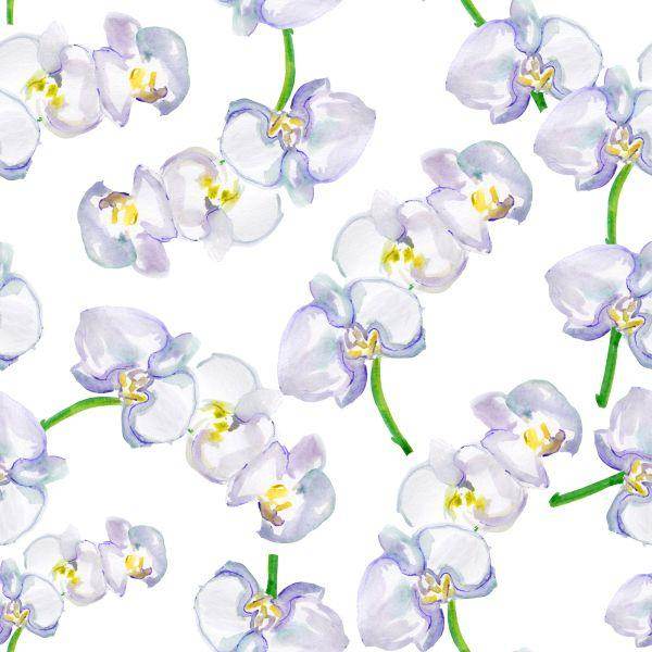 Behang Orchidee. Orchidee. Natuur Bloemen - Afbeelding 2